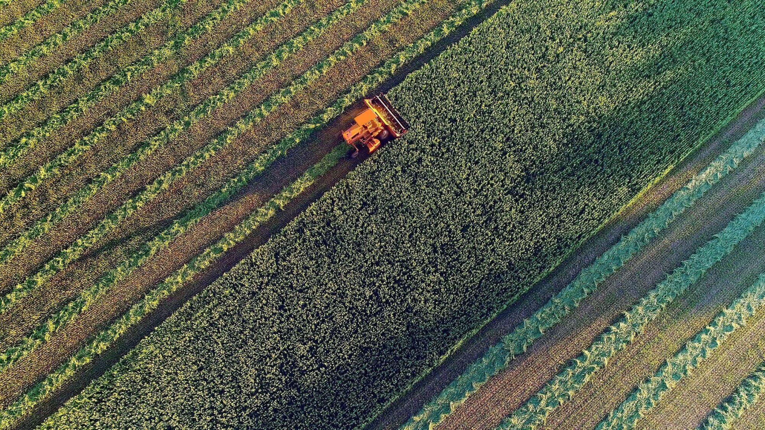 Delaware Agriculture and Farming
