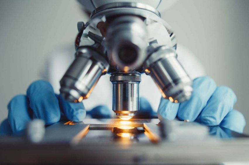 Scientists Microscope
