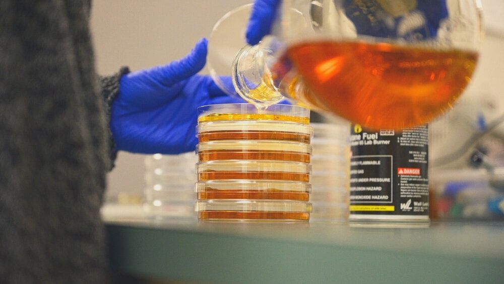 Delaware ready-to-go lab space pilot program