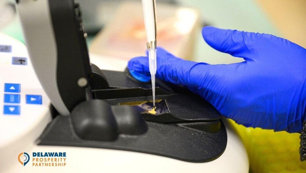 Delaware lab space grants
