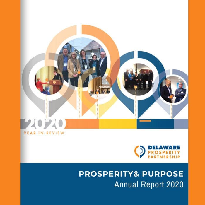 DPP year in review 2020