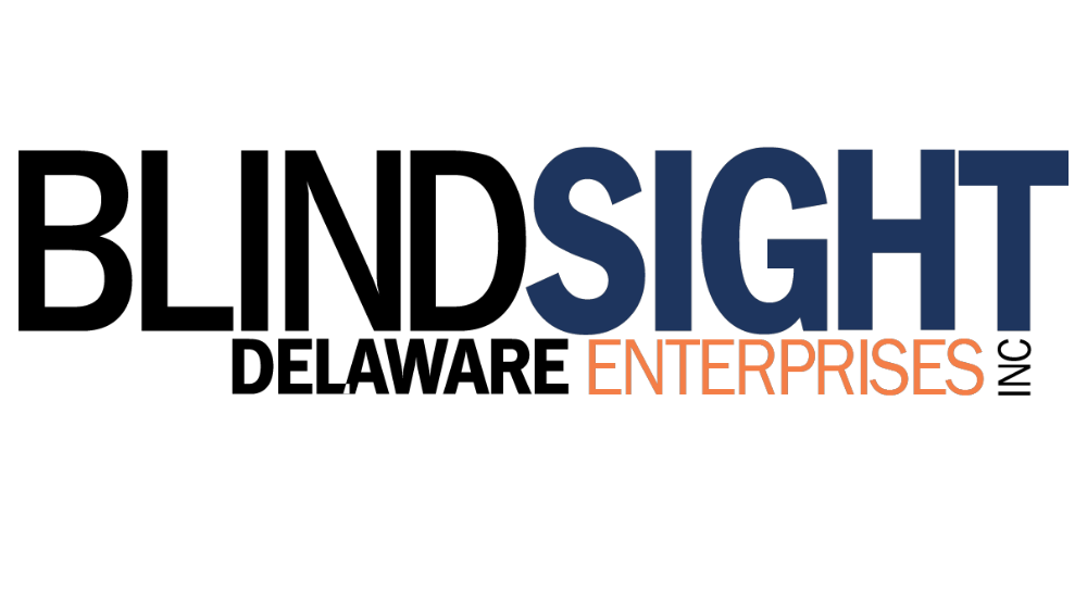 BlindSight Delaware Enterprises Inc Logo Banner
